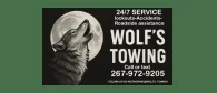 Wolf's towing headshot