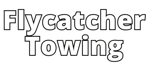 Foto de Flycatcher Towing